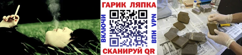 Гашиш индика сатива  купить наркотики сайты  Саки 