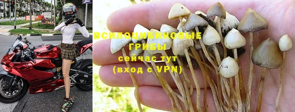 мет Алексеевка