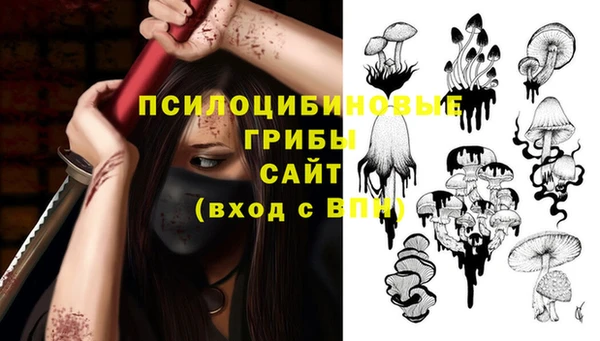 2c-b Алзамай