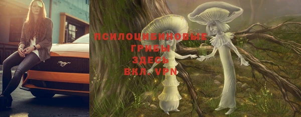 таблы Алексин