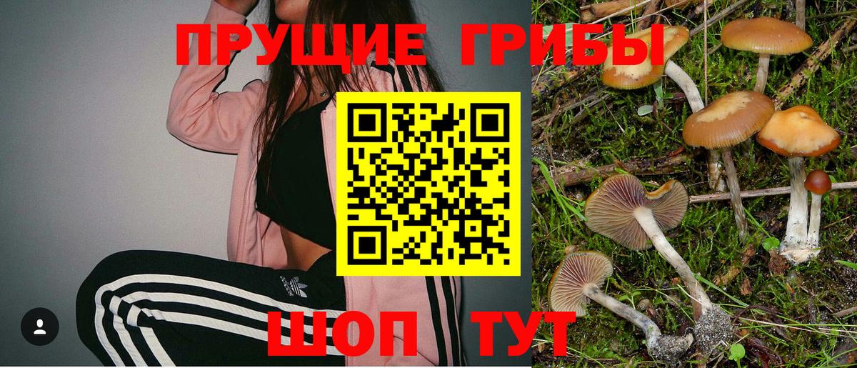 Псилоцибиновые грибы Psilocybe Саки