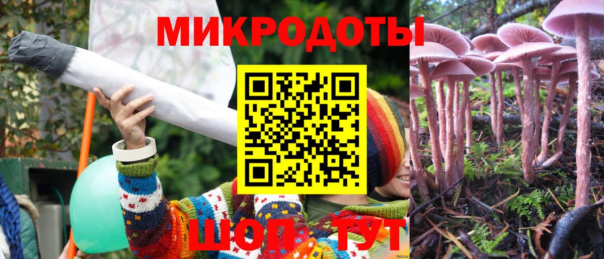 Саки  Галлюциногенные грибы Psilocybine cubensis  Псилоцибиновые грибы GOLDEN TEACHER  Вход с VPN 
